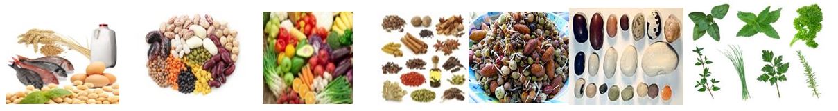 foods-and-spices-image